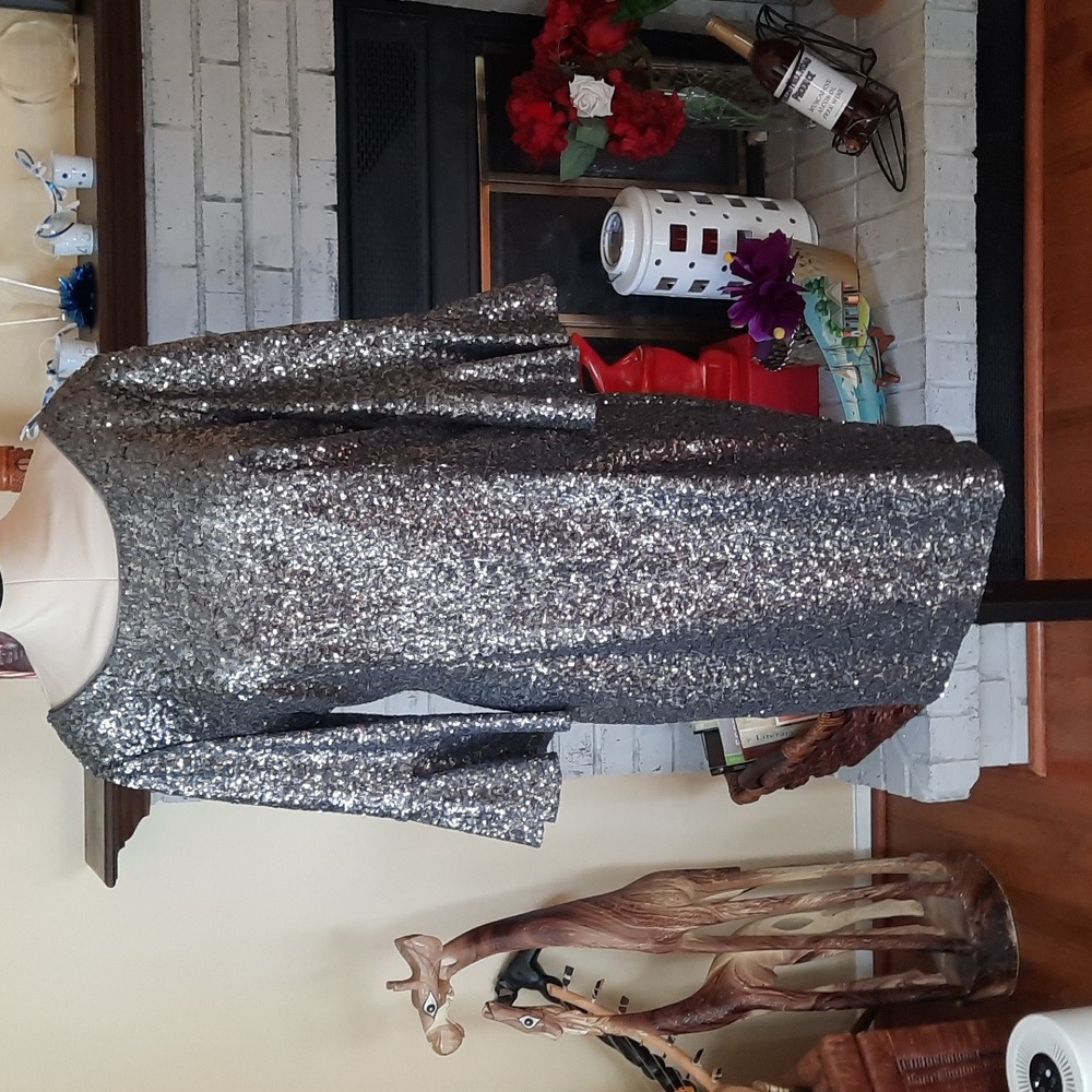 Alex Evenings Silver Sequin Midi Dress